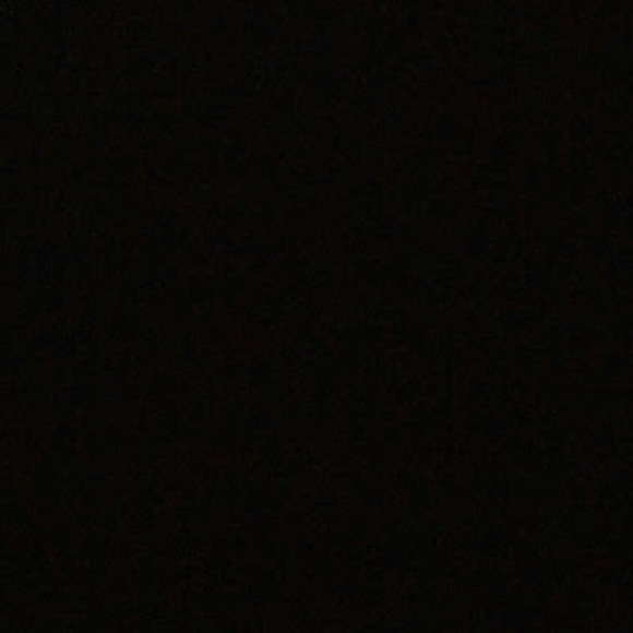 Meet your Posher, Max - Picture 1 of 1